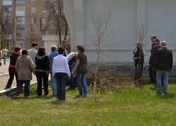 Actions “Clean Environment” and “Plant a Tree”